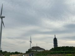 -碧海金沙