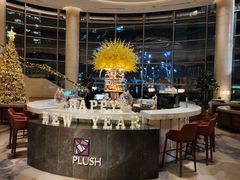 -Plush大堂酒廊(北京金融街威斯汀大酒店)
