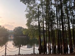 -荔湾湖公园