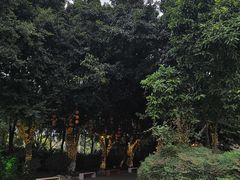 -南湖梦幻岛