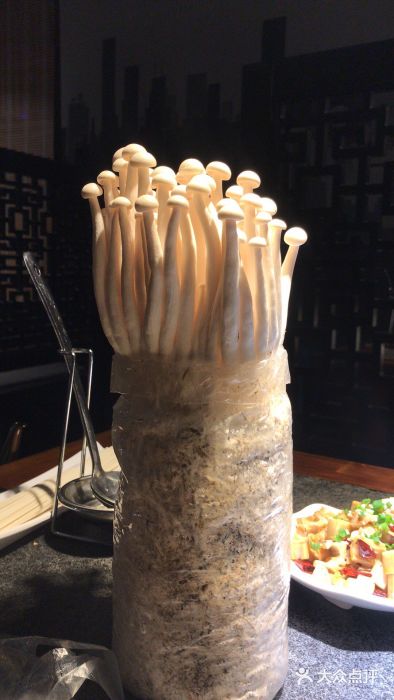 先机®·泉水鸡汤(七星岗店)图片