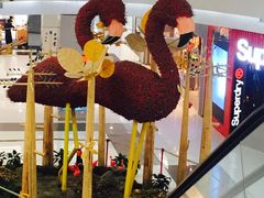 -凯德广场(学府店)