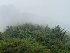 -崂山巨峰游览区
