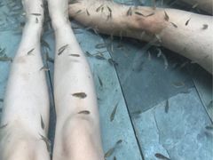 -青岛海泉湾度假区温泉