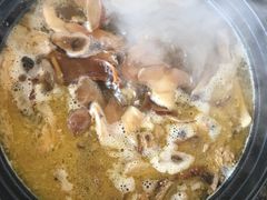 -蘑统田下·野生菌火锅