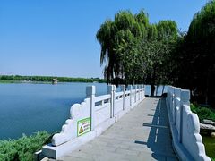 -大兴滨河森林公园