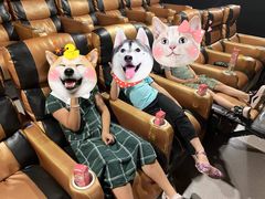 -至潮影城(厦禾路美仁广场店)