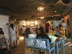 -共舞时光猫咖·狗咖(新街口店)