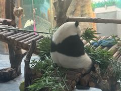 -青藏高原野生动物园