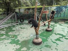 -西安秦岭野生动物园