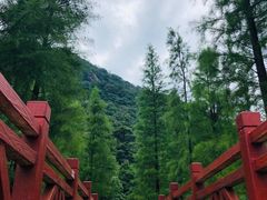 -广州市石门国家森林公园