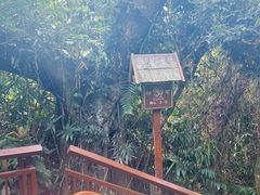 -三亚亚龙湾人间天堂鸟巢度假村