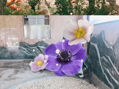 景点-大连森林动物园