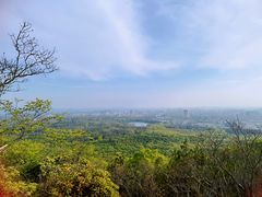 -紫金山山顶公园
