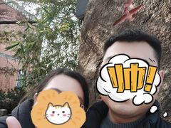 -上海佘山国家森林公园西佘山园