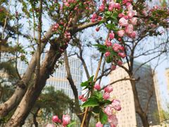 -元大都城垣遗址公园