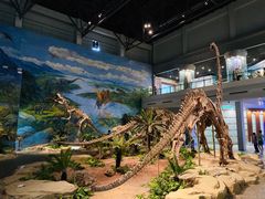 -自贡恐龙博物馆