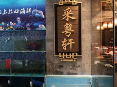 -采粤轩中餐厅(惠州金海湾喜来登度假酒店)