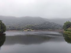-桃花岭景区