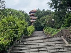 -长安公园