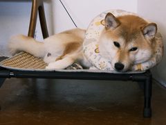 -三目仓咖啡(贤南路店)
