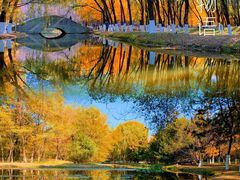 -长白岛森林公园