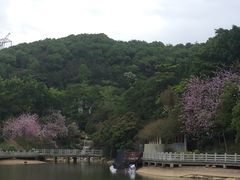 -广州市帽峰山景区