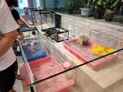 -Moni星球萌宠·小马宝莉·灵蛇·高端高阶全萌宠互动体验俱乐部(红豆国际广场店)