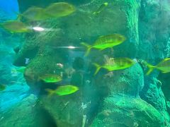 -威海华夏城景区