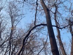 -盘龙城国家考古遗址公园