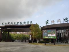 -黄海国家森林公园