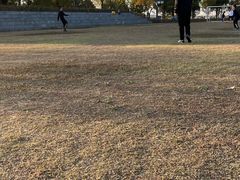 -滆湖低碳生态公园