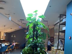 -悦海·家宴·冰花皮皮虾大锅贴(宝龙店)