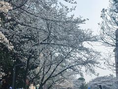 -浙江大学(紫金港校区)