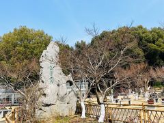 -南京古林公园