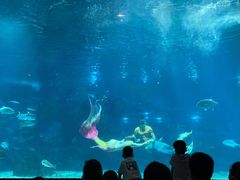 -福州罗源湾海洋世界旅游区