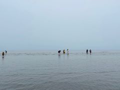 -江山半岛白浪滩景区