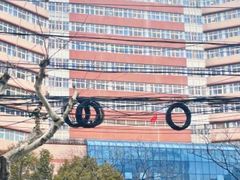 -上海市静安区闸北中心医院