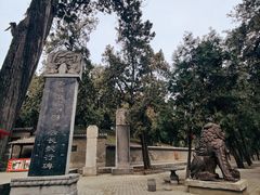 -关林
