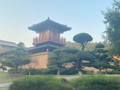 -习家池