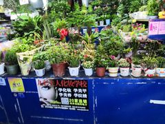 -大学城夜市大排档(凤栖路店)