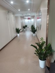 点击看大图 -杭州海亮医院 · 禾芸嘉医美中心