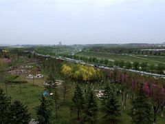 -洨河生态公园