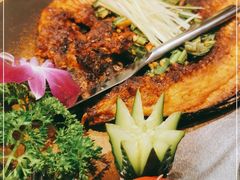 -麦麦山云南菜(复地活力城店)