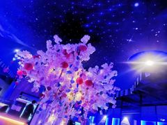 -SIGN星座主题音乐餐吧