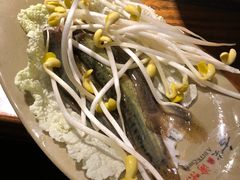 -渝味晓宇火锅(合川路店)