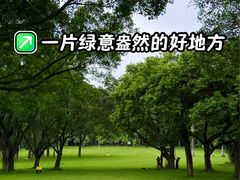 -东莞植物园