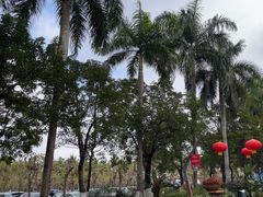 -万绿园