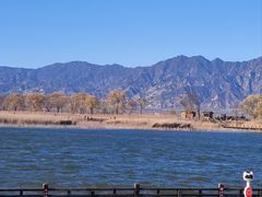 -野鸭湖国家湿地公园