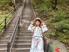 -茅兰沟国家森林公园